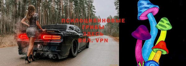 круглые Абаза